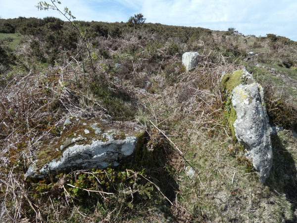 Haytor Chambered Tomb