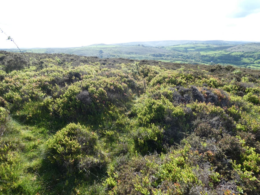 Black Hill 8 Reported Cairn