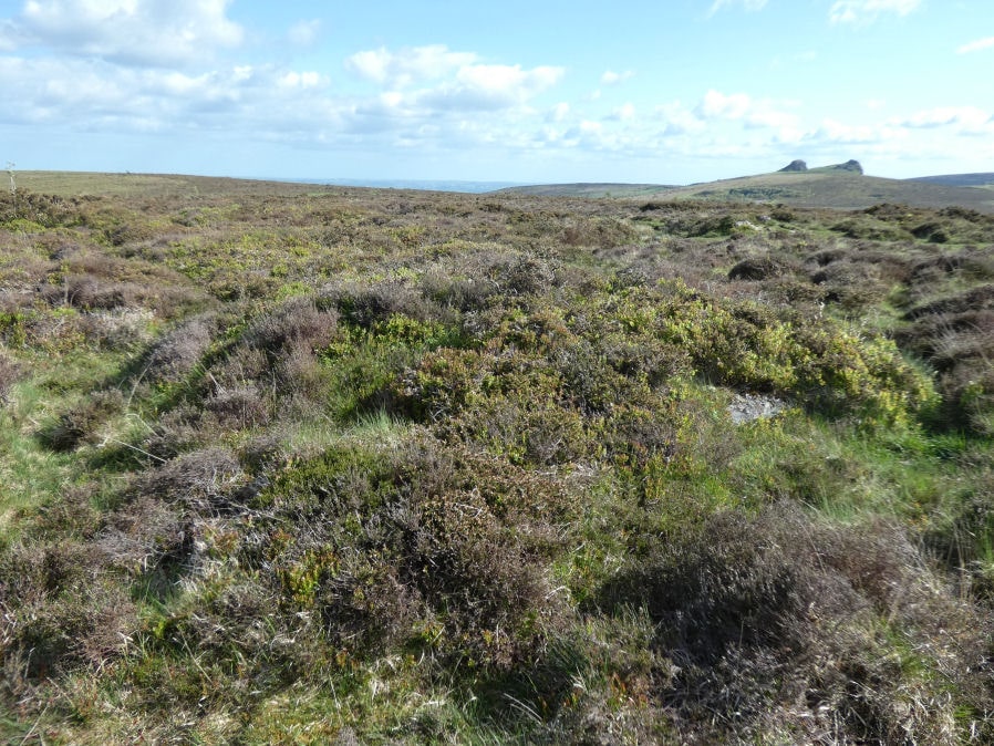 Black Hill 10 Reported Cairn