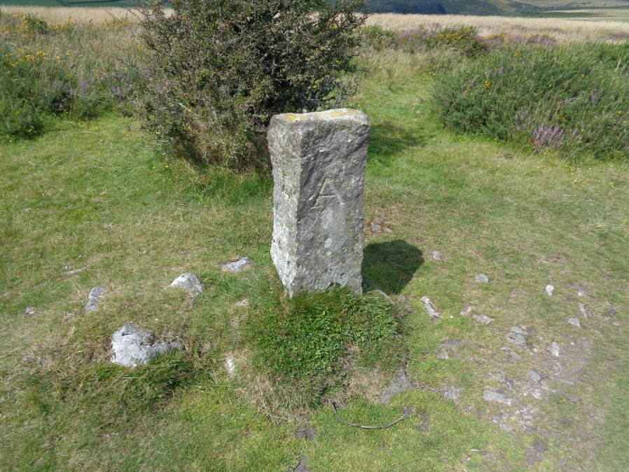 Buckland Common 1 Reported Cairn
