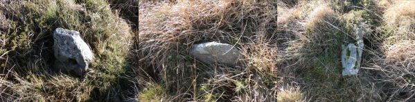 Spurrell's Cross Stone Row