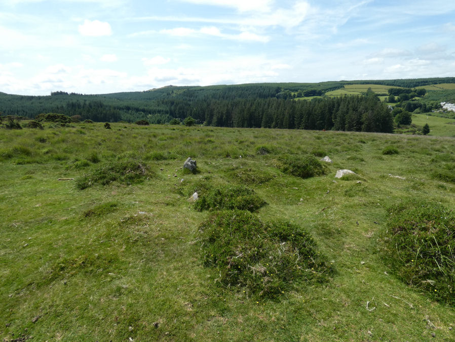 Riddon Ridge N. Reported Cairn
