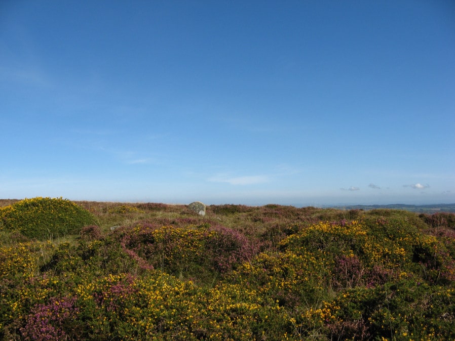 Hamel Down S.E.1 Cairn