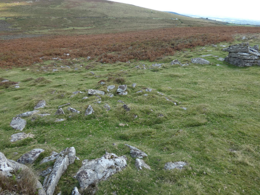 Yar Tor Tor Enclosure