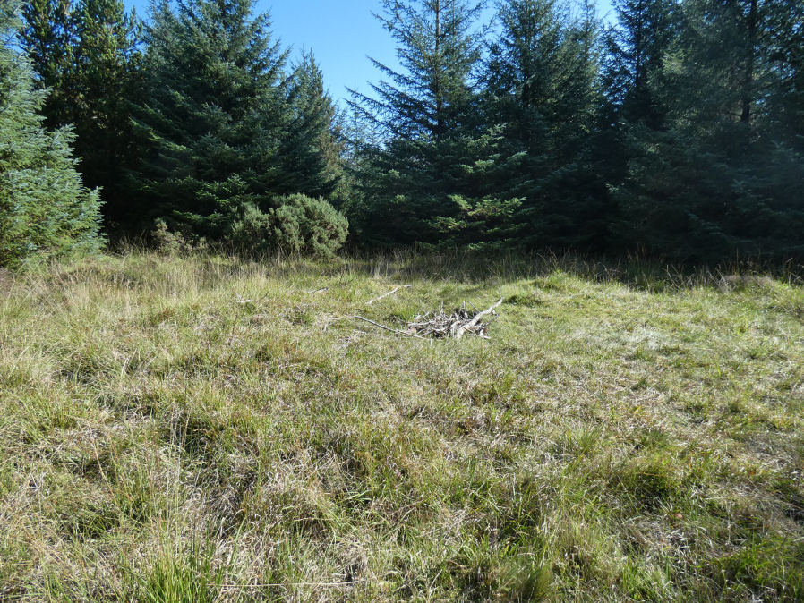 Soussons Plantation N.1 Cairn