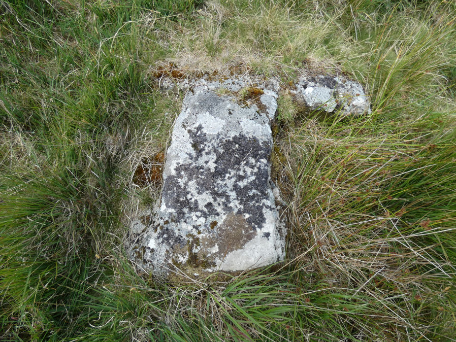 Chittaford Down 2 Reported Cist