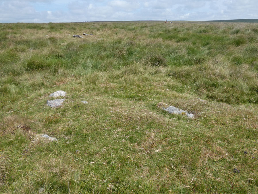 Langstone Moor 1 Cairn