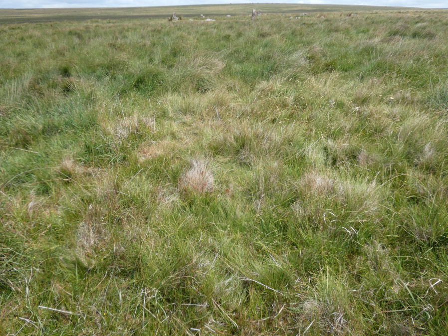 Langstone Moor 3 Cairn