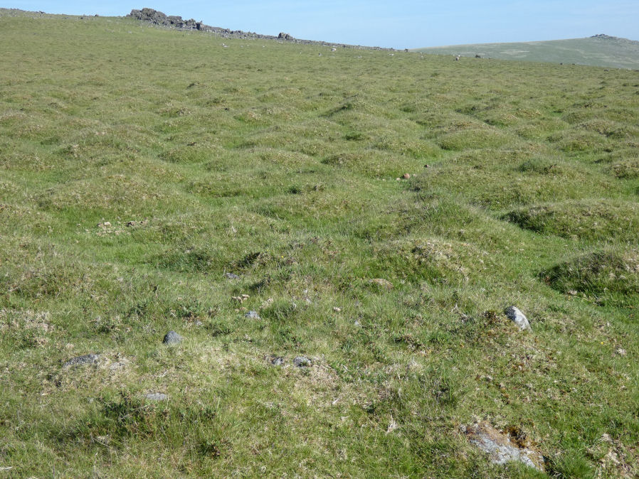 Cudlipptown Down 1 Cairn