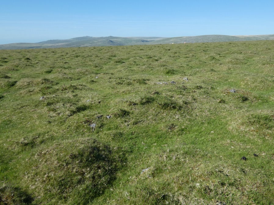 Cudlipptown Down 2 Cairn