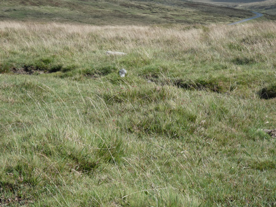 Sharpitor N.W. 2 Stone Row