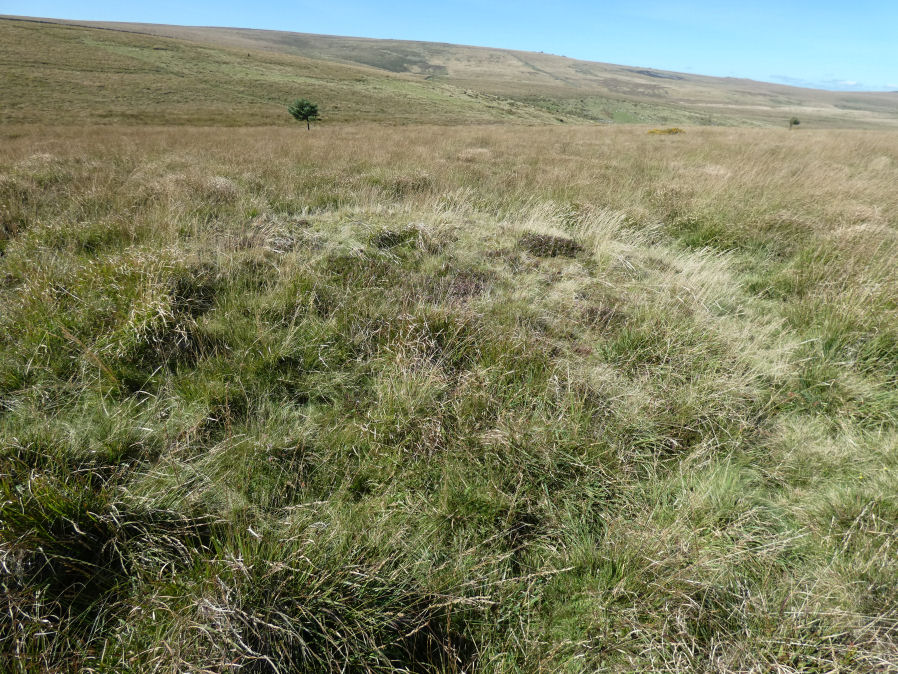 Stonetor Brookhead E.1 Cairn