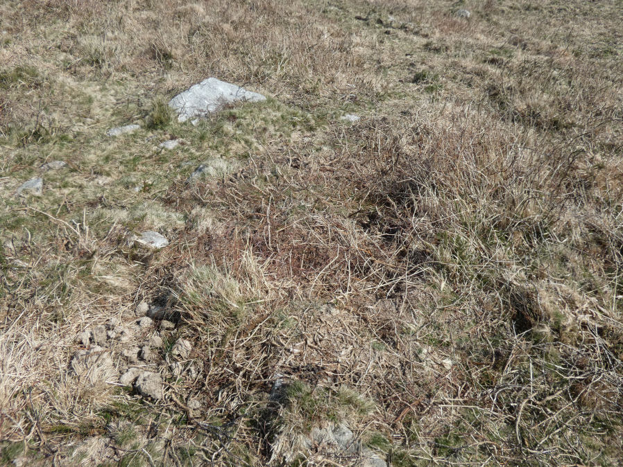 Throwleigh Common 5 Clearance Cairn