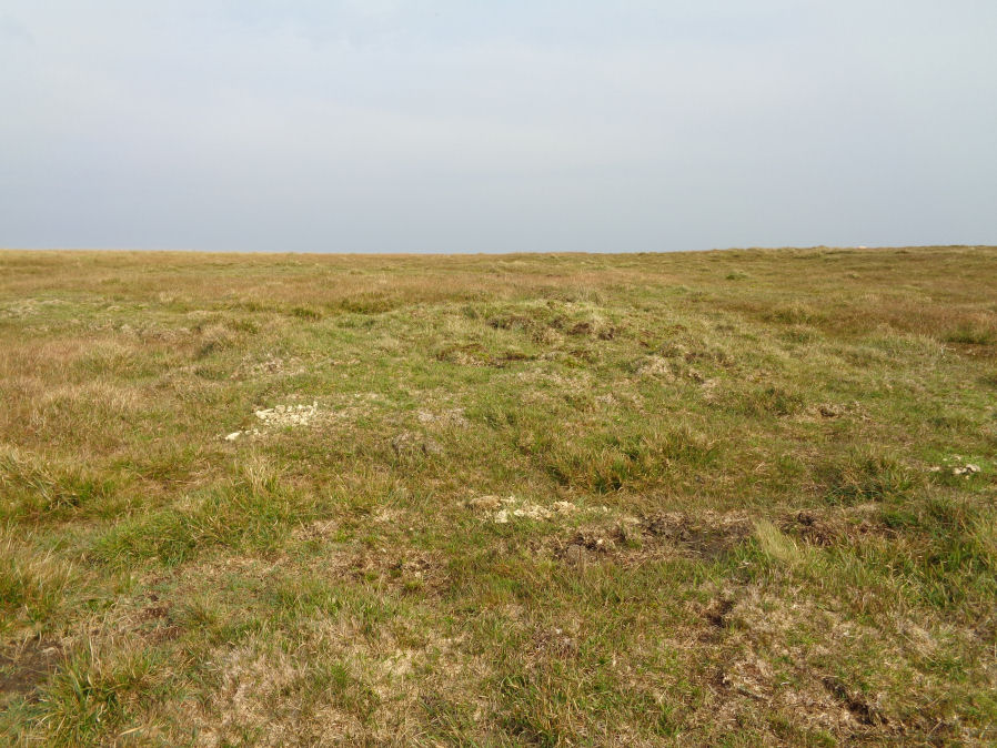 Devils Tor 1 Reported Cairn