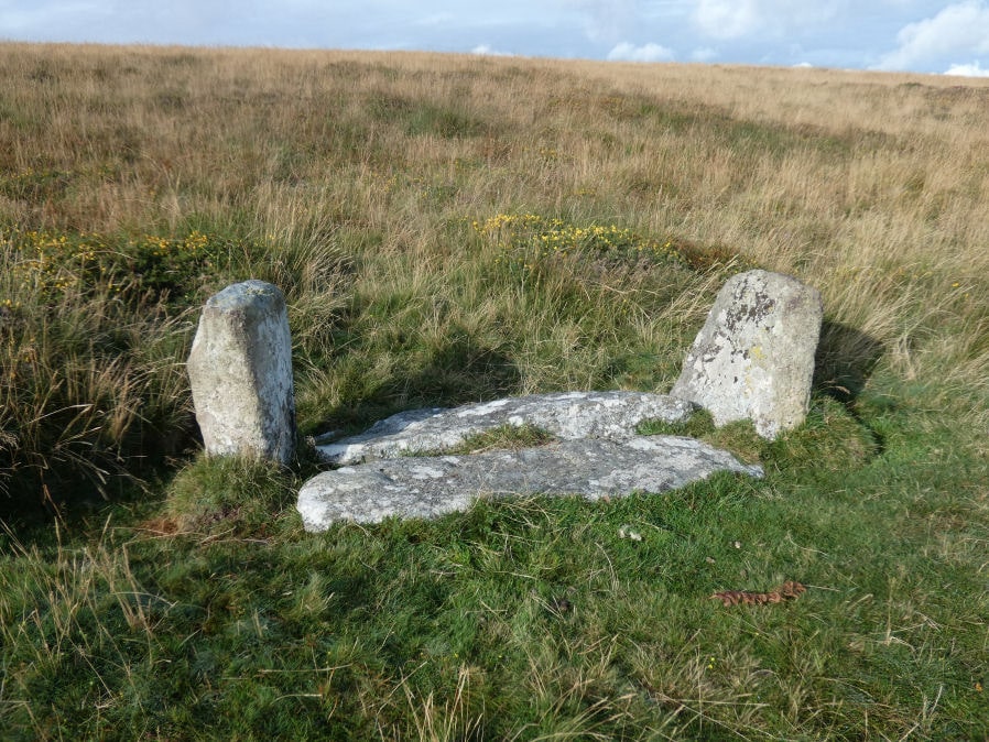 Cosdon Hill N.3 Cist