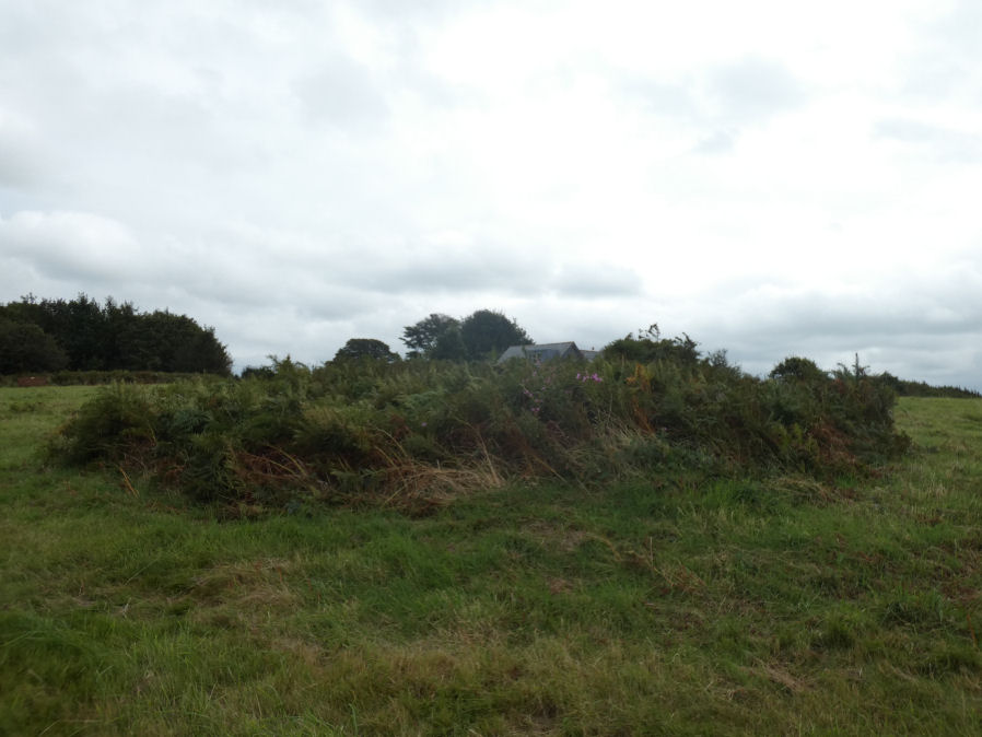 Ramsley Hill (site of) Reported Cairn