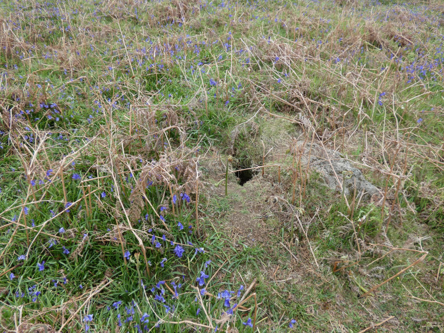 Hayne Down stone row Cairn