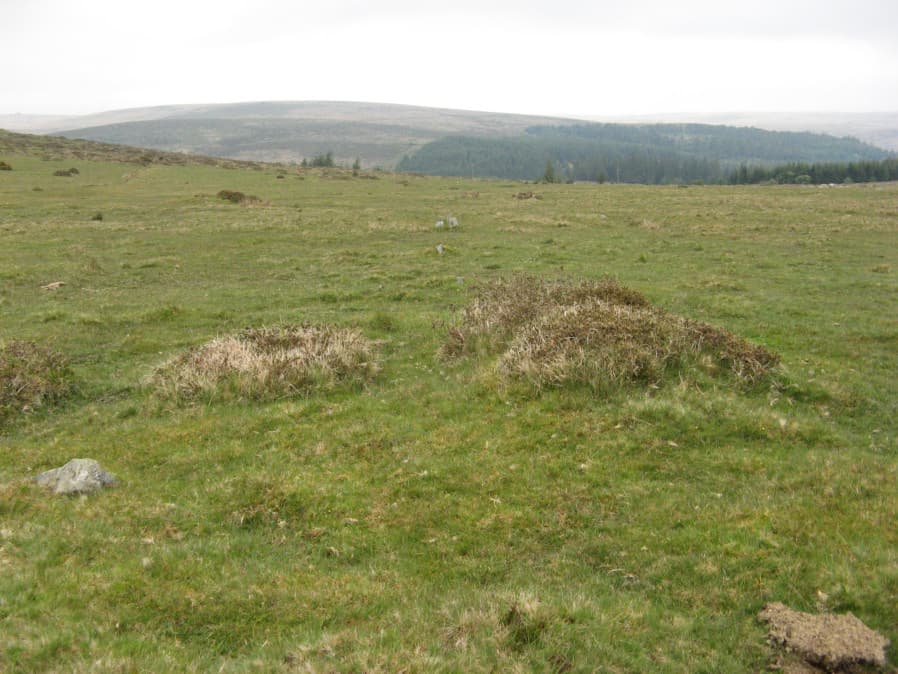 Sharpitor N.E. stone row Cairn