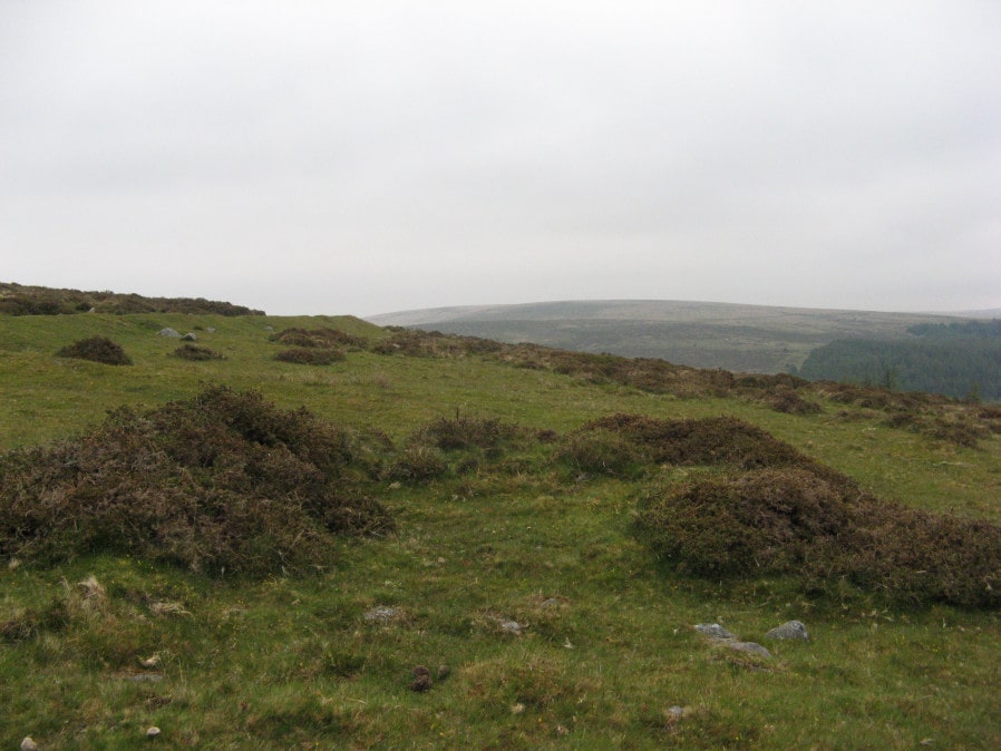 Leeden Tor S.1 Cairn