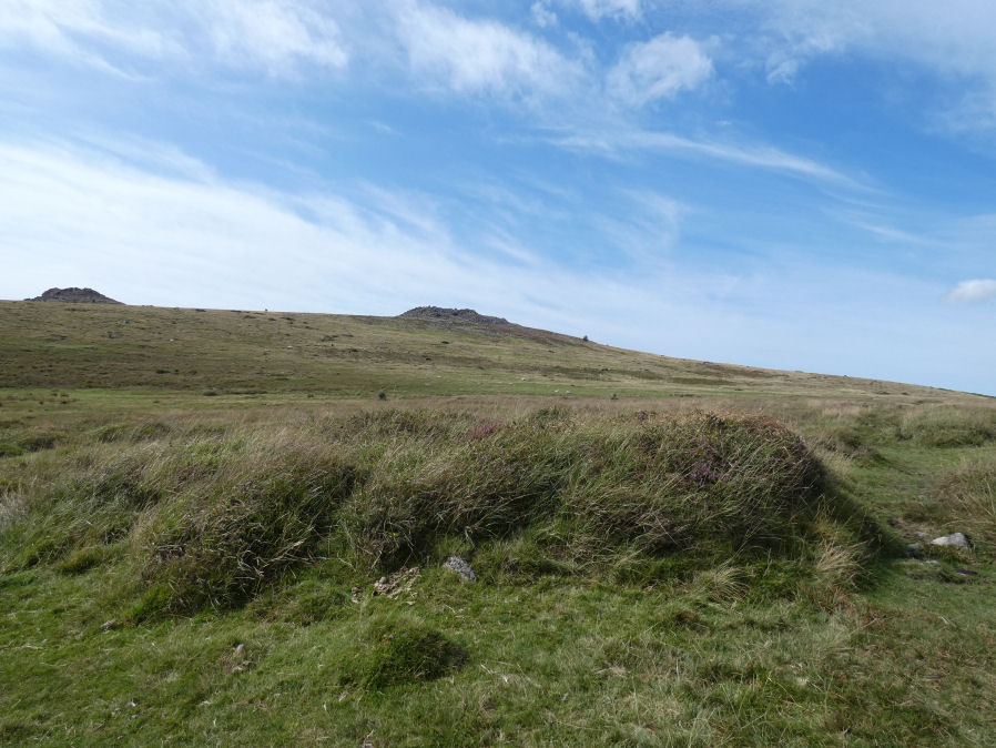 Leeden Tor S.3 Cairn