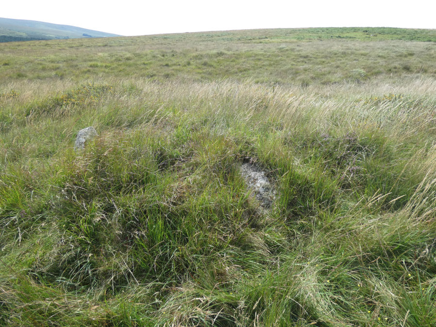 Leeden Tor stone row Cairn