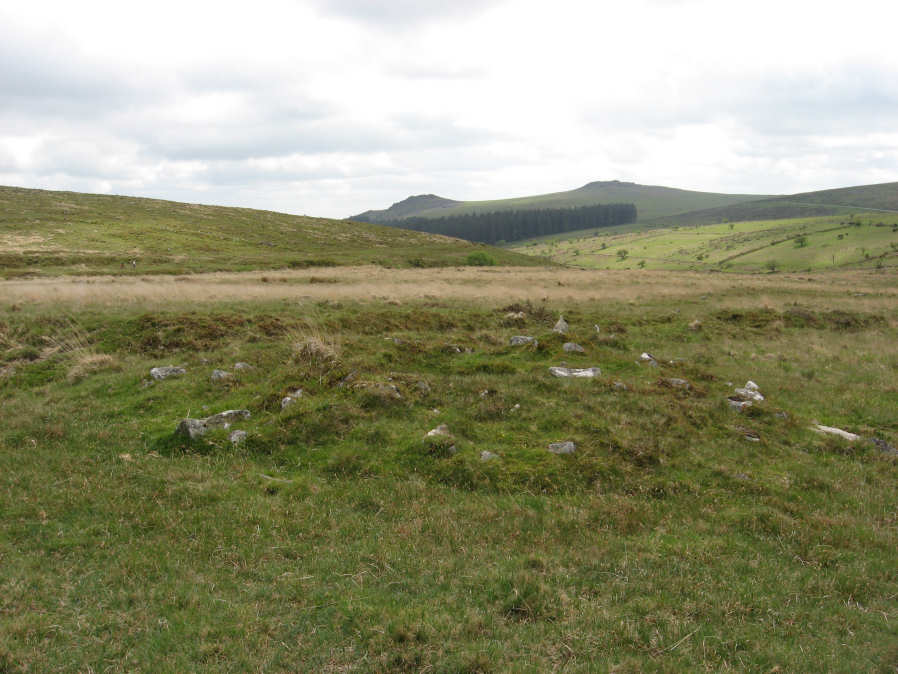 Hart Tor single stone row Cairn