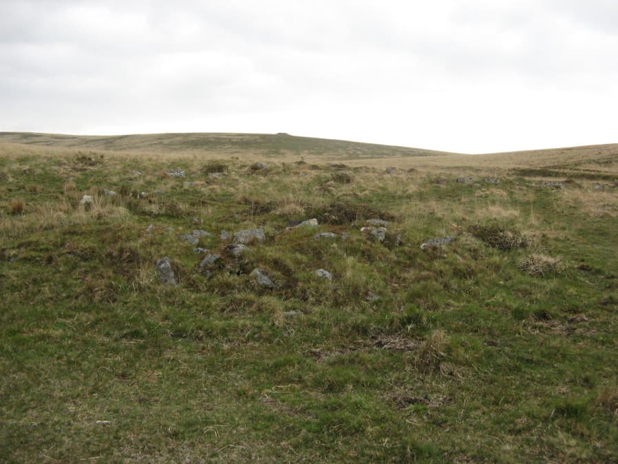 Hart Tor S.W. Cairn