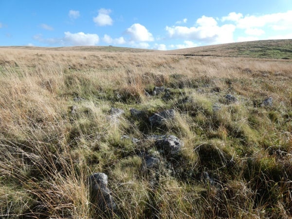 Hart Tor S.W. Cairn