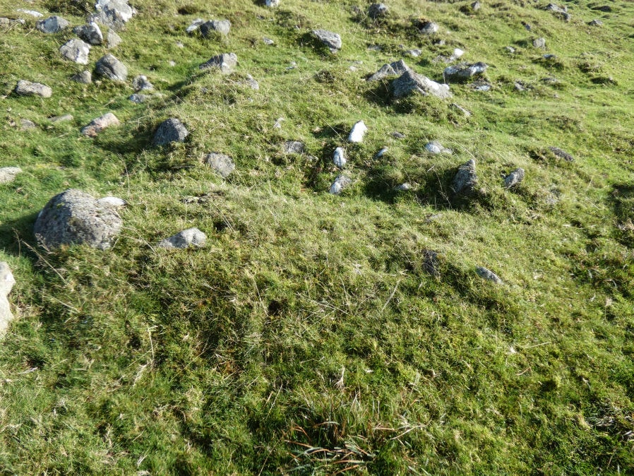 Narrator Brookhead 3 Reported Cairn