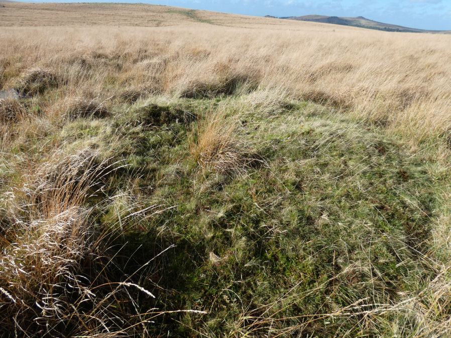 Narrator Brookhead 4 Reported Cairn