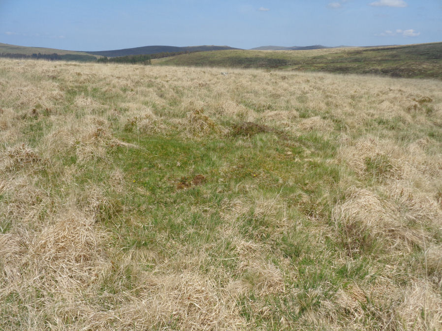 Hingston Hill Summit 2 Reported Cairn