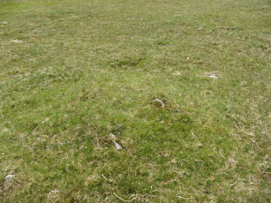 Foot of NE Longstone (1) Reported Cairn