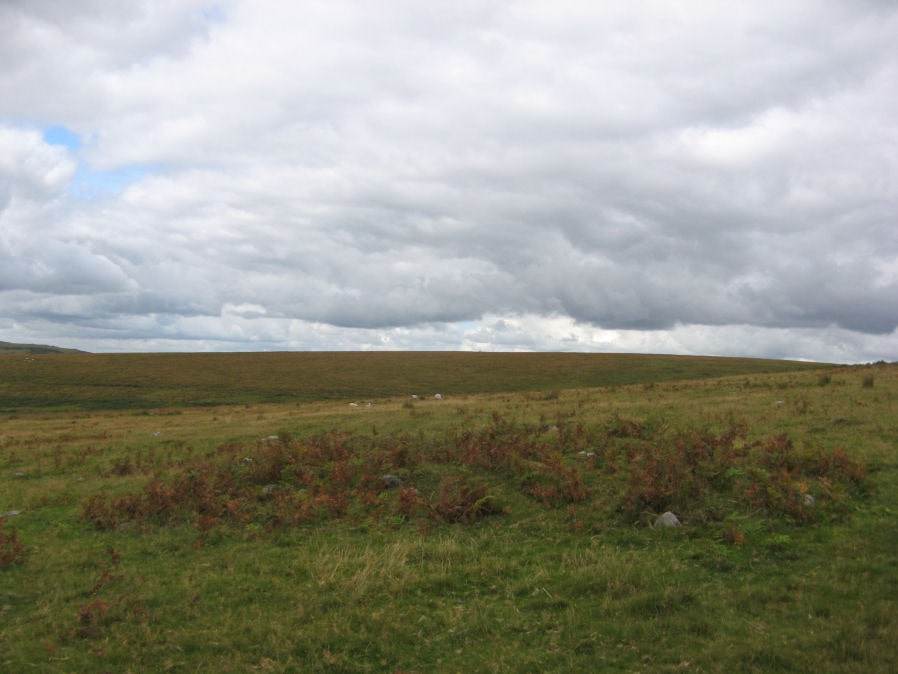 Drizzlecombe 16 Reported Cairn
