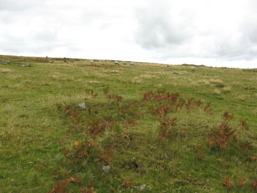 Drizzlecombe 17 Cairn