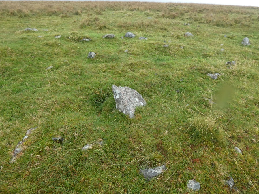 Drizzlecombe 19 Reported Cairn