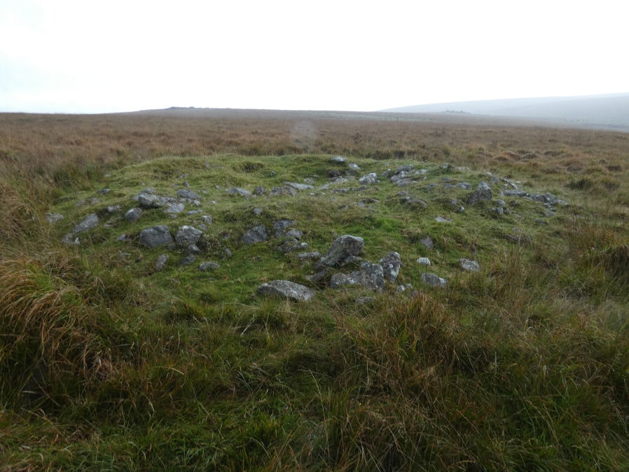Drizzlecombe 20 Cairn