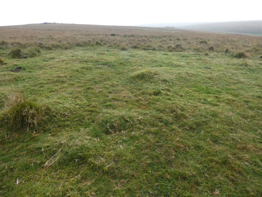 Drizzlecombe 26 Reported Cairn