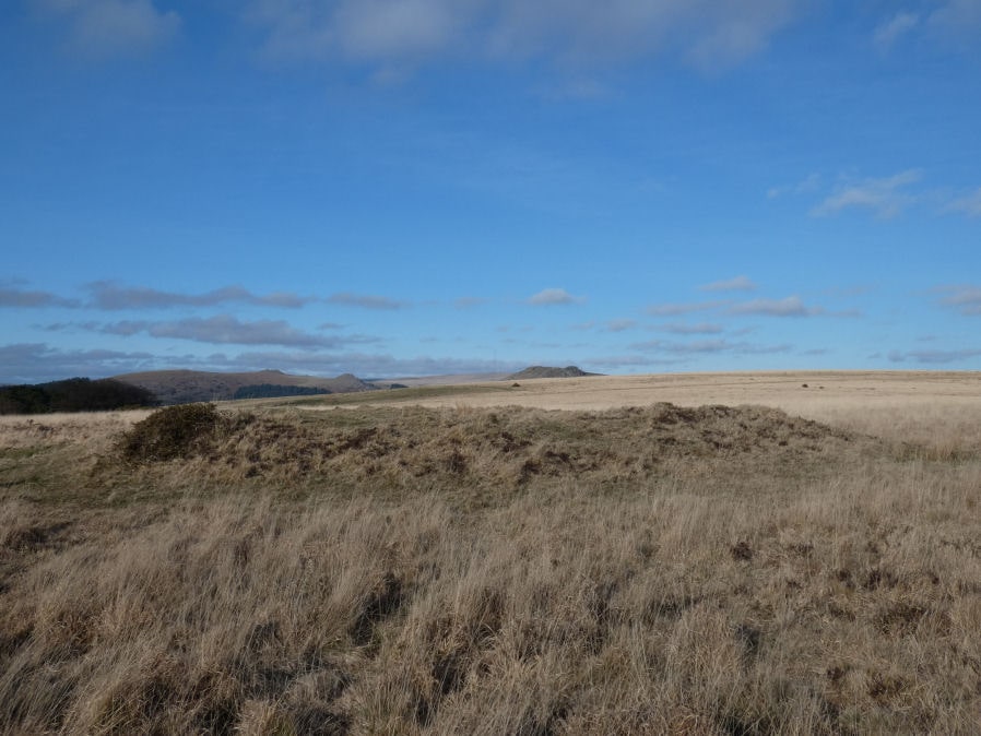 Ringmoor Down 6 Cairn