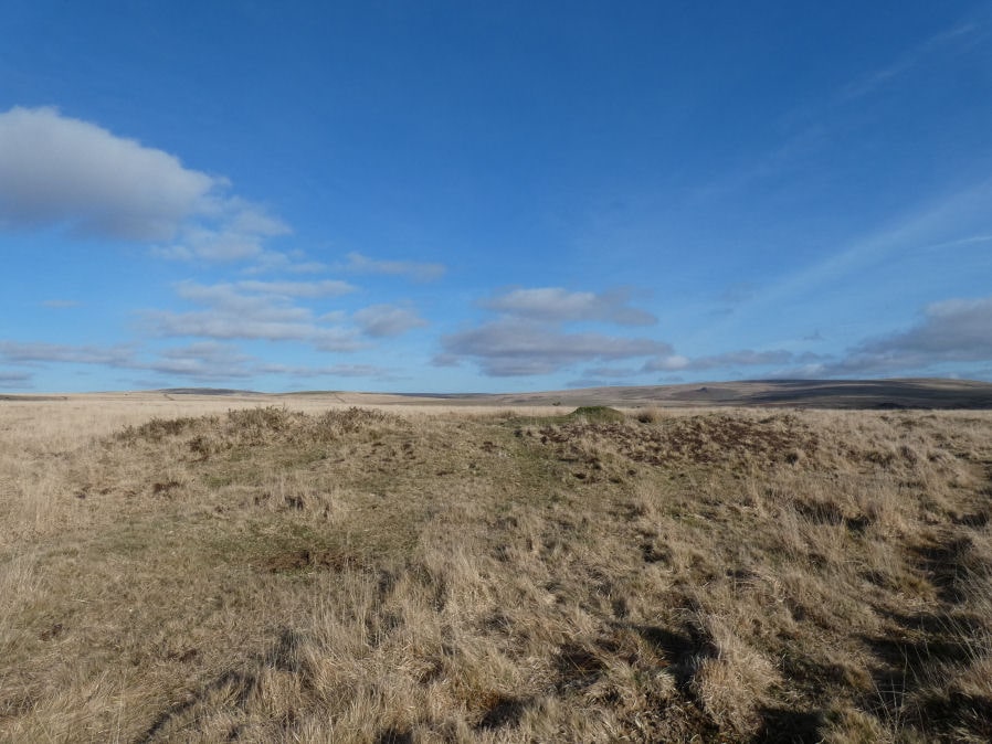 Ringmoor Down 7 Cairn