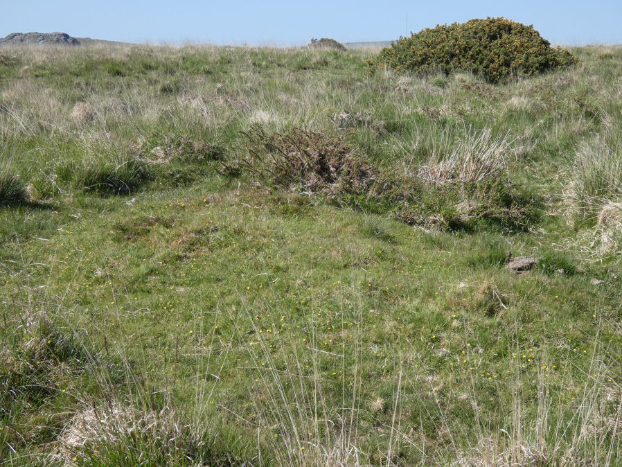 Ringmoor Down 13 Reported Cairn