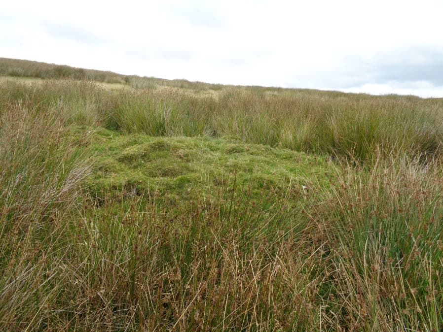 Ranny Brook 22 Cairn