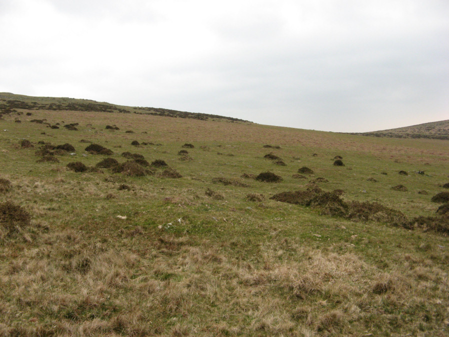 Butterdon Hill W.13-17 Reported Cairn