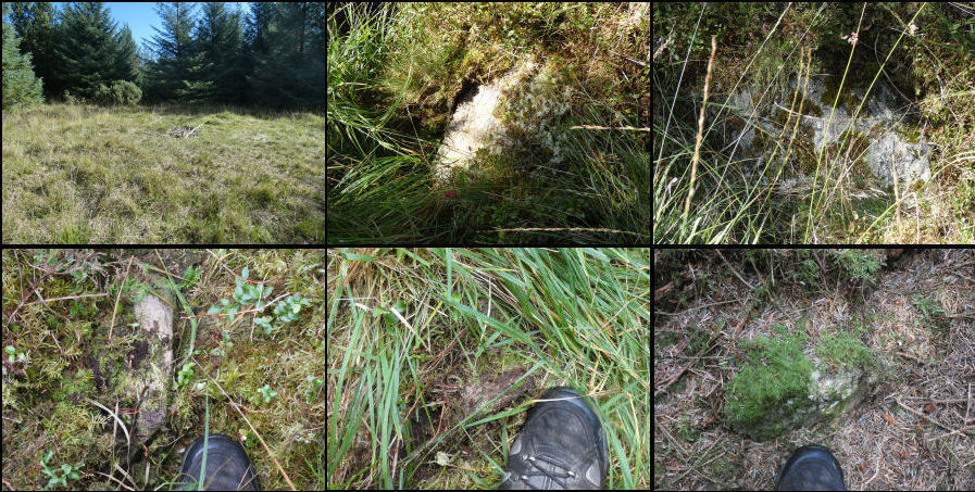 Soussons Down (Red Barrows) Stone Row