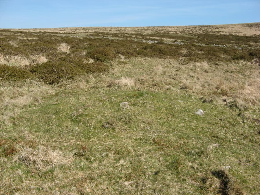 Butter Brook 1 stone row Reported Cairn