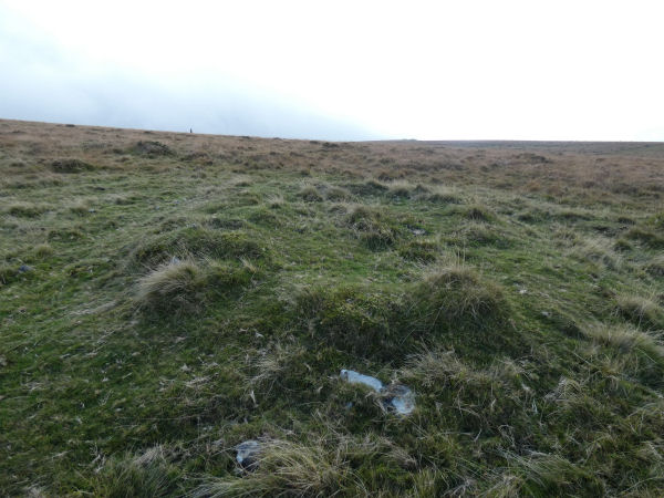 Beacon Plains 1 Cairn