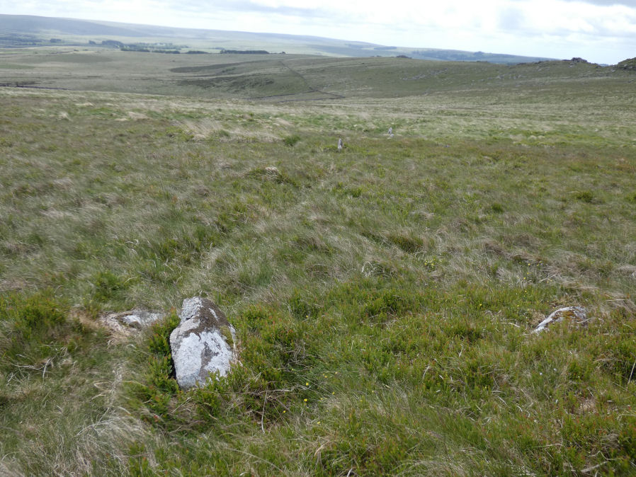 Higher White Tor Stone Row