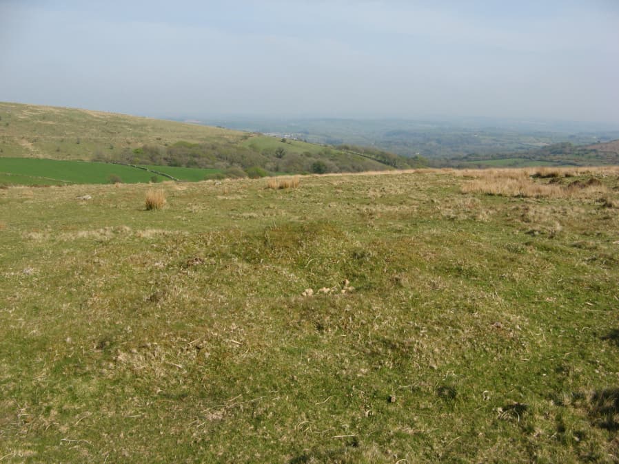 Glasscombe Corner W.3 Cairn
