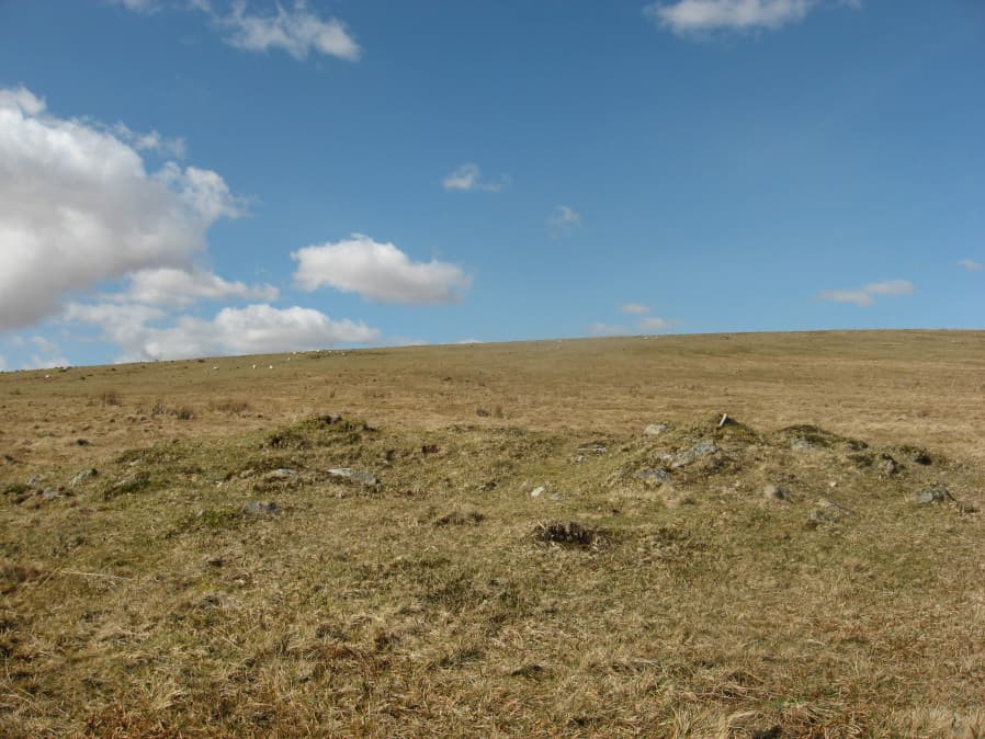 Black Tor (Avon) stone row Cairn