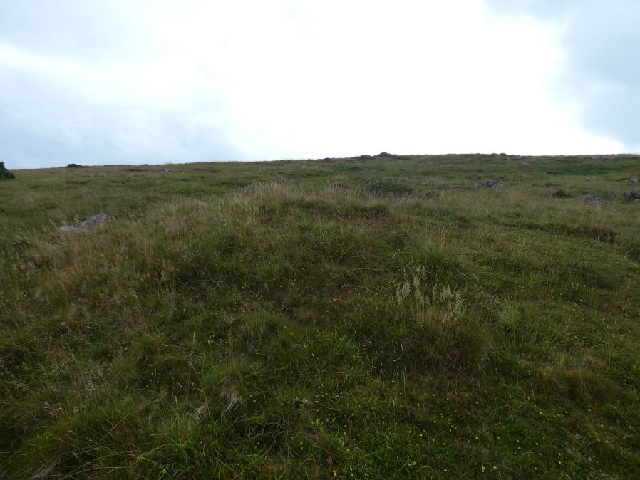Pupers Hill E Reported Cairn