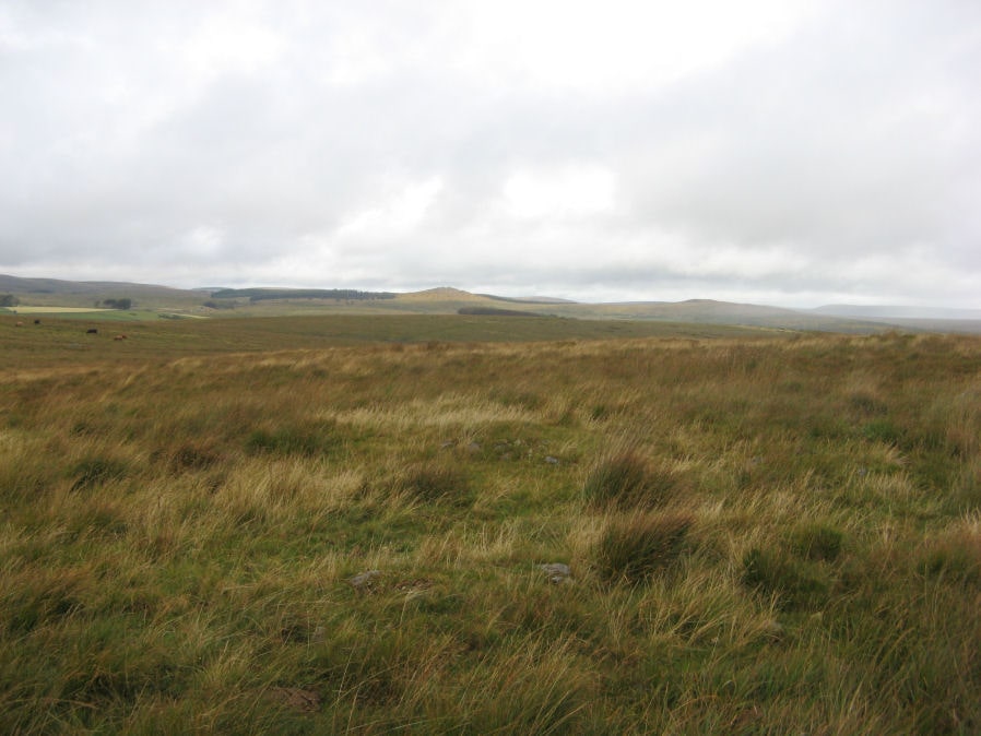 Joan Ford's Newtake N.1 Cairn